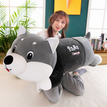 ſ���ʿ�湫���L�l������̖ë�q���Ů��˯�X�����ރ�ͯ���նY��