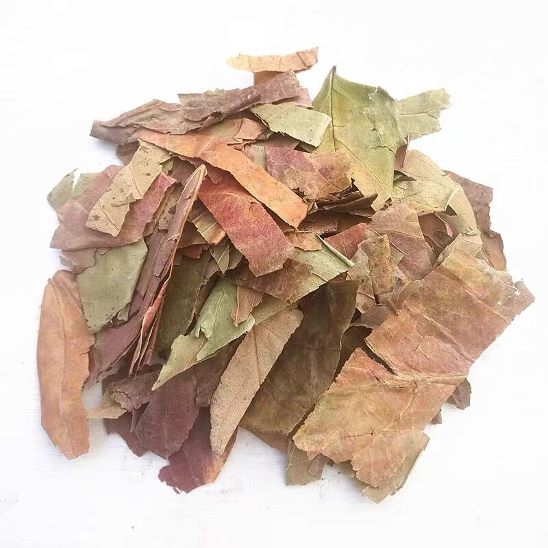 Dried Persimmon Leaf Tea Shi Ye 柿叶 Traditional Herbal Tea 500g Harvested After Frost in use