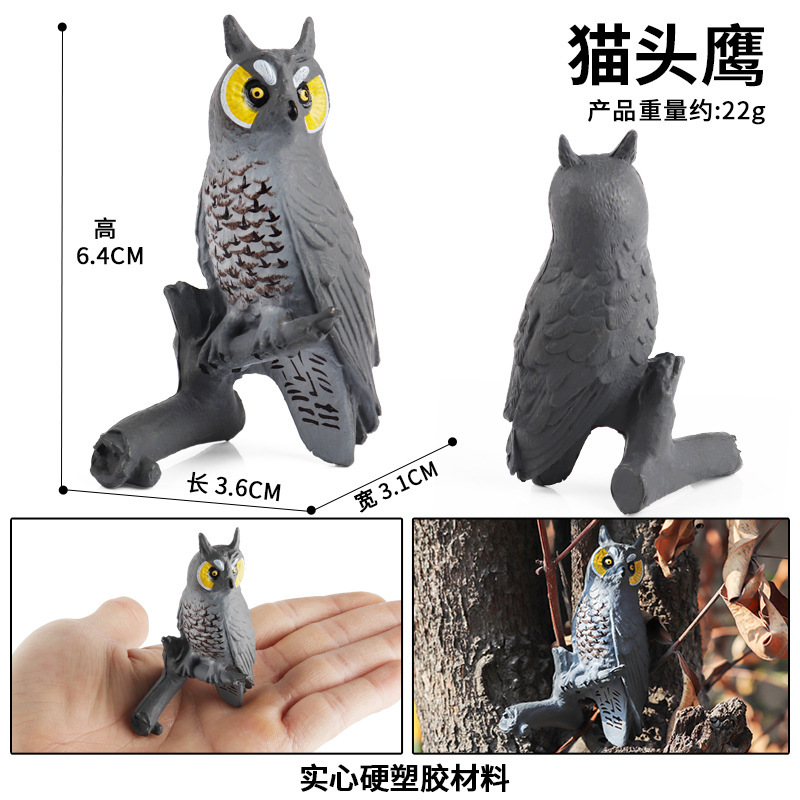 2763 owl