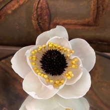 �o����޹�ײ�ͨ�ݻ� ��ζ�U��ɻ�������6Cm����ĵ���ҾӔ[������