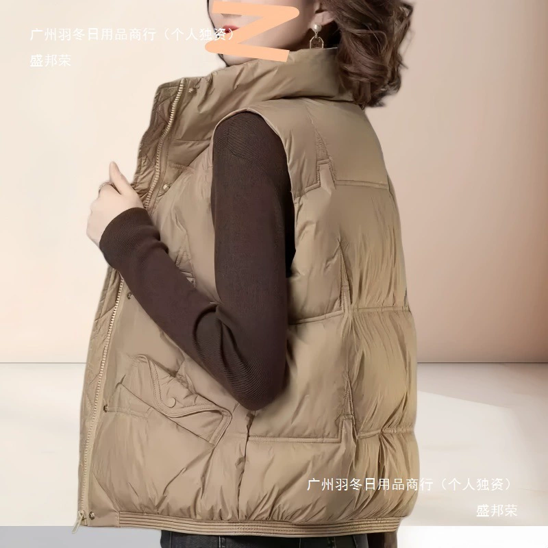 Женский хлопковый жилет на пуху, осень-зима 2025, с воротником-стойкой, теплый, простой и универсальный, черный цвет.