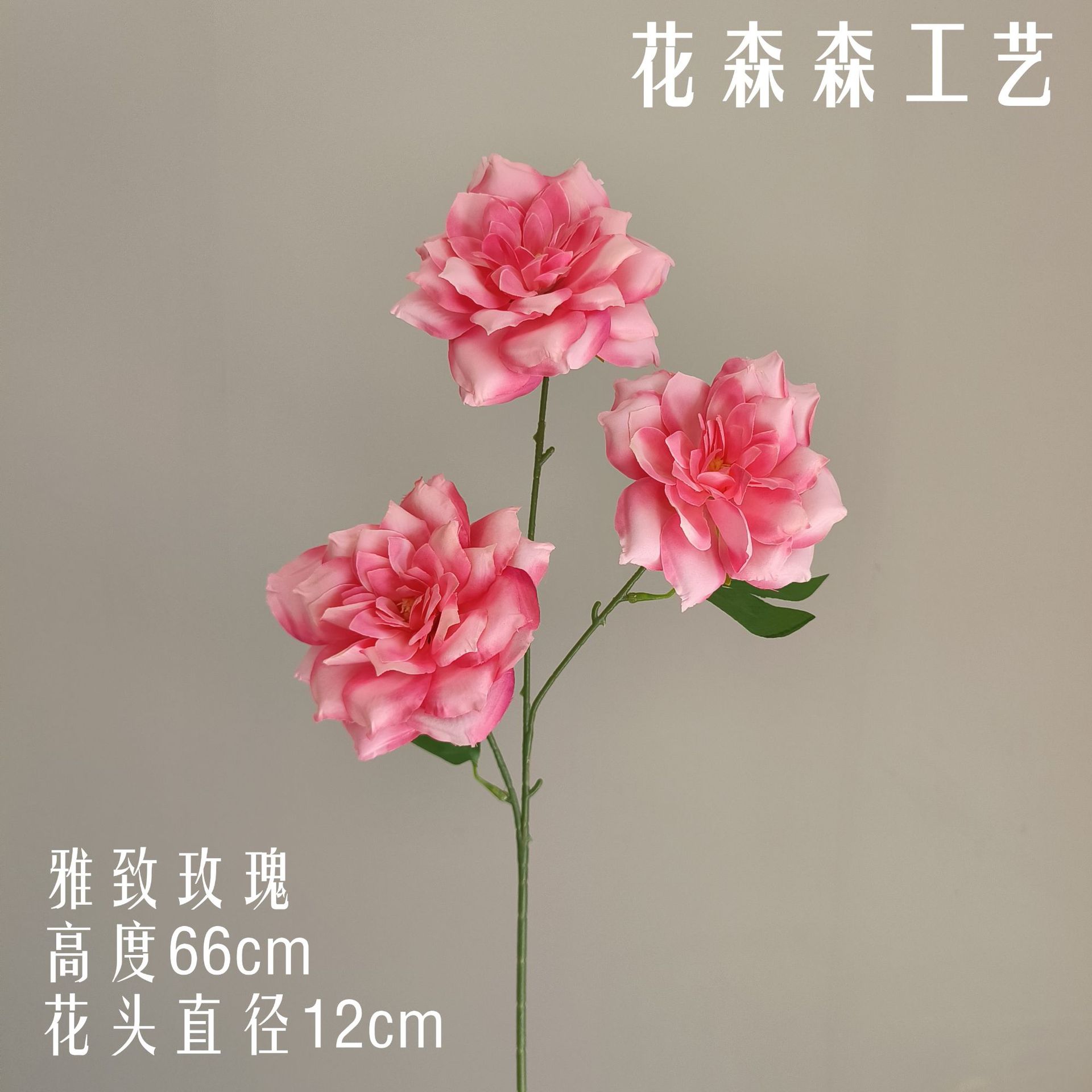 우아한 장미 112229