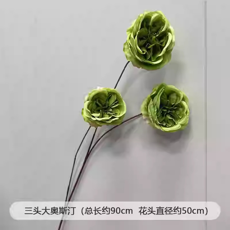 芦荀草绿植花龙须草假花白绿森系婚庆装饰自然风背景插花路引|undefined