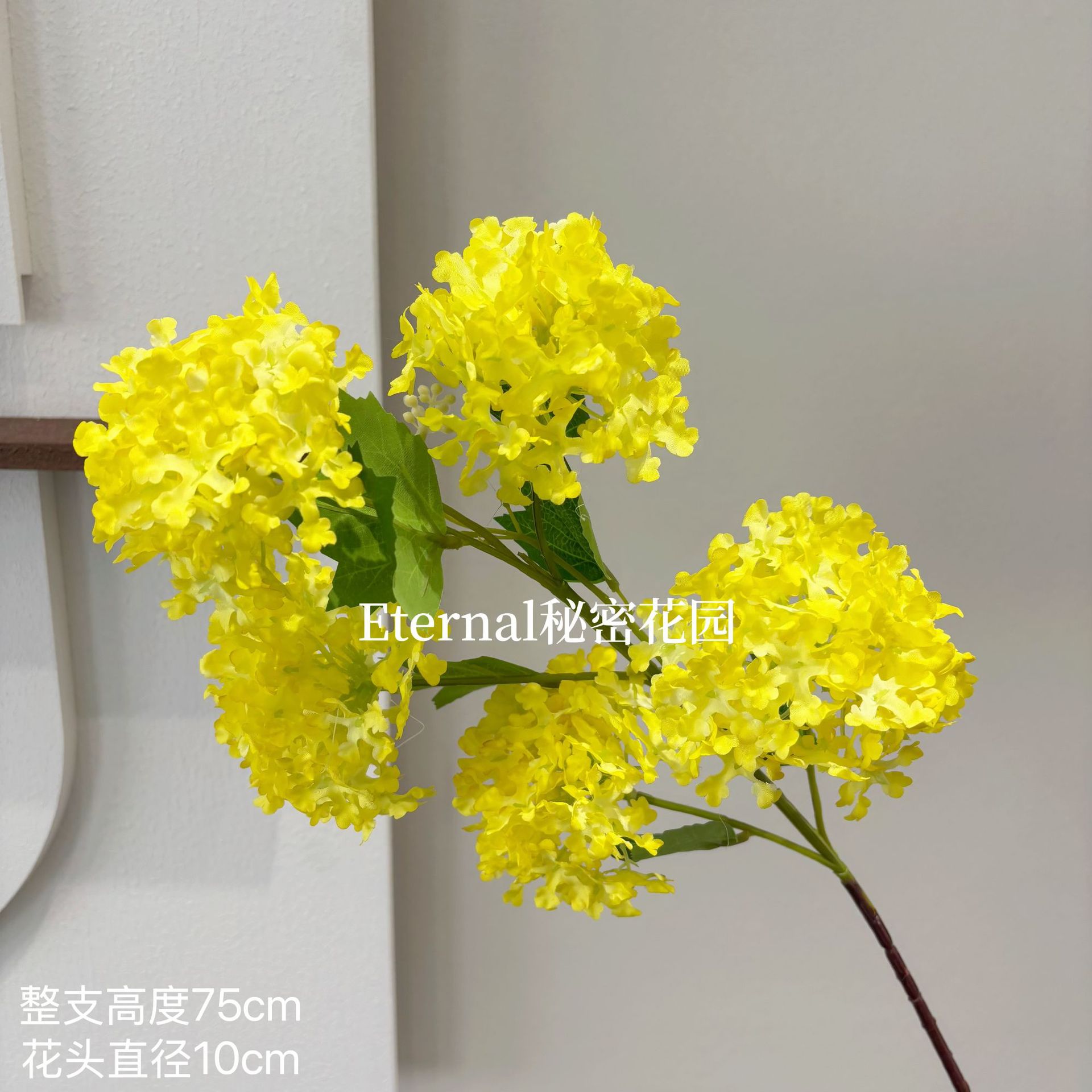 Nueva hortensia de copo de nieve