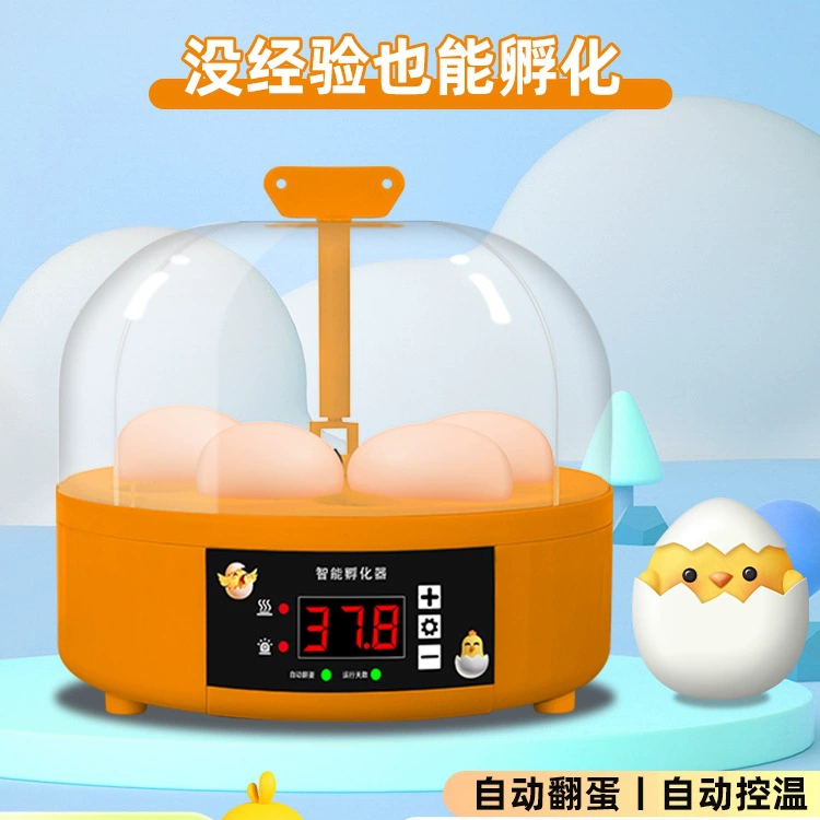 Бесплатная доставка, инкубатор для яиц, небольшой бытовой умный инкубатор, полностью автоматический инкубатор с постоянной температурой, рутина, цыпленок, попугай, водяная кровать, инкубатор