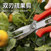 Vegetables scissors Agriculture Cut flowers gardens Pruners Fruits and vegetables Pick Cut flowers