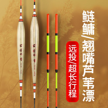 �����г�«έ��Ư����Ư����������ԶͶ��Ŀ�Ӵ�β�����ӹ̴���Ư