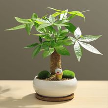 �lؔ�����Ԅ�����؈�[���k���҃����滨�ܾGֲ���^�辰��ؔ���F��