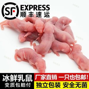 ��S���]����tƤ����С����ι��ι؈������ʳ������ܼZ�������