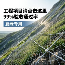 喷播植草铁丝网绿化铁丝网喷浆挂网镀锌勾花网喷锚护坡矿山支护