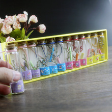 һ��12ֻ�����S�ƿľ��С�Ͳ���ƿ�b�����Ư��ƿ�����l���ƿ��