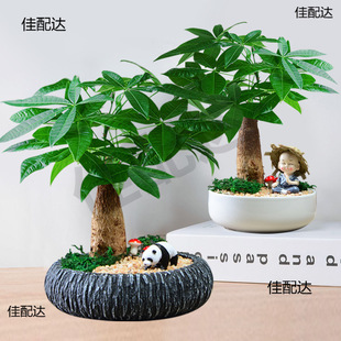 lֲؔ҃k[Gֲֲؔ￨ͨС