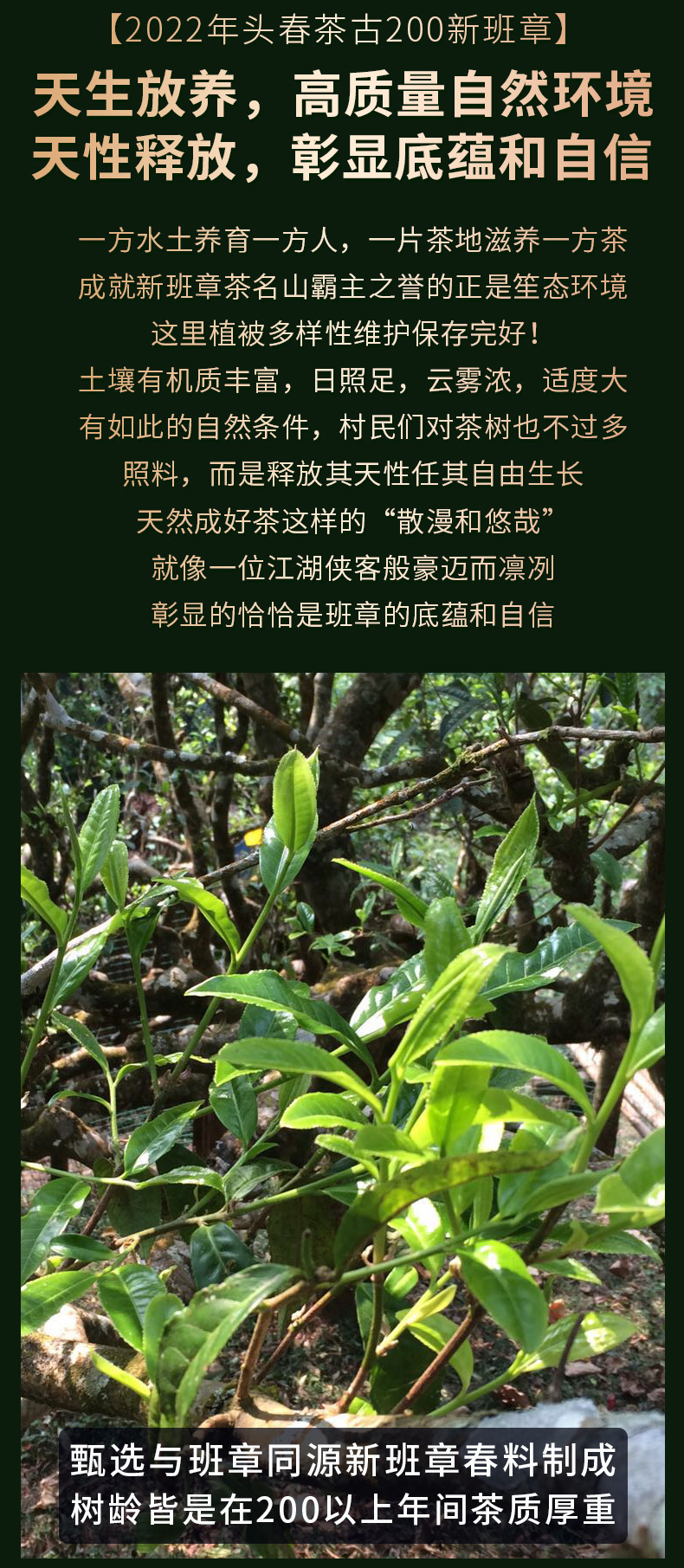 O1CN01Y0S4w22JUFGlqIhTH_!!9241