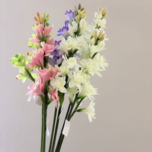 滨ҹ֧LӾƵ̈bҾܛbbl