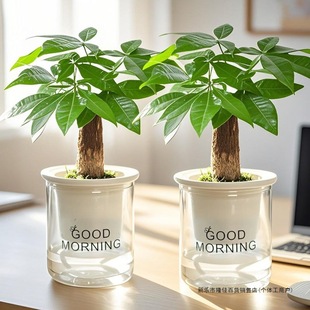 �lؔ��С�����҃�ֲ��͏d����ȩ�����՚��k���һ�������Gֲ���B