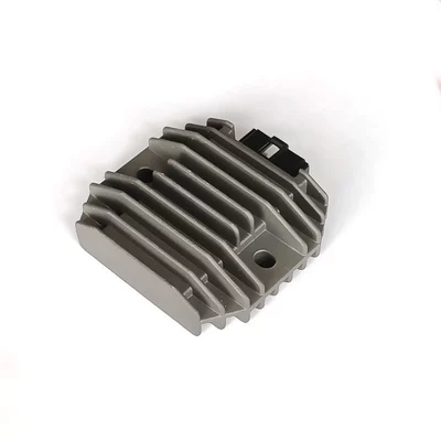 300 ZXR 250, Motorcycle Electrical and Instrument