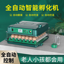 孵化机全自动智能小鸡苗鸭鹅孵化器小型家用孵化箱鸽子鹦鹉孵蛋器