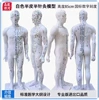 85cm white strap [muscle] digital scale