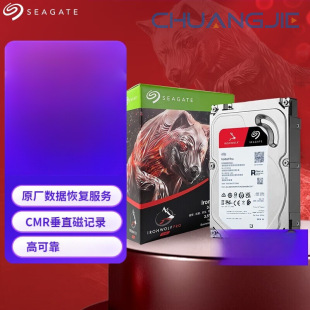 Nas Coolwolf Pro New Nt Series Cmr Vertical Magnetic Recording Mechanical Hard Drive 24Tb [St24000Nt002]