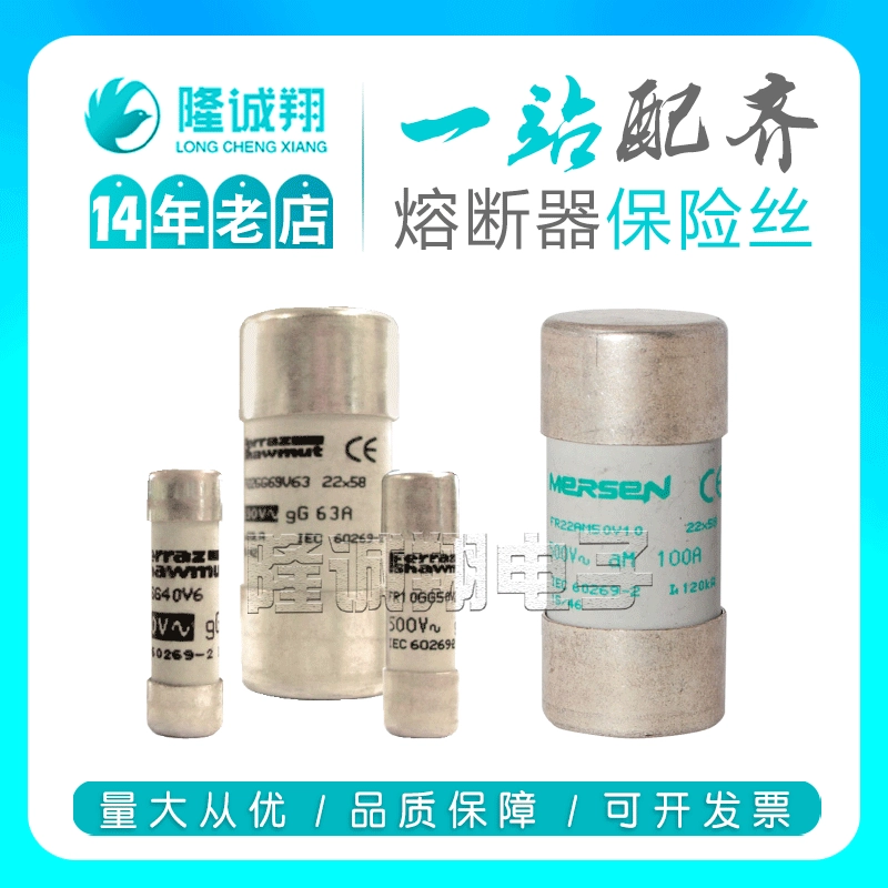 【Предохранитель】FR22AM69V40P F215653 FR22AM69V50P K216669