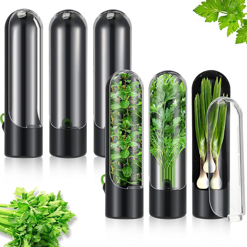 Shein Vanilla Food Storage Container Vegetable Preservation Tool Coriander Herbal Preservation Box