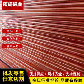 铜排T2，T3紫铜排紫铜板紫铜方棒红铜条接地电极块扁条铜纯铜