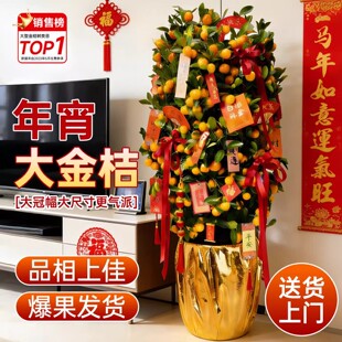 �ļ�������ۘ������҃ȿ͏d�����Ϙ���������ʳ����լ����ֲ��
