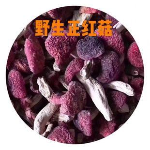 �t��Ұ���tĢ�����ӹ���؛�t����؛��������ɽҰ�����t����Ʒ