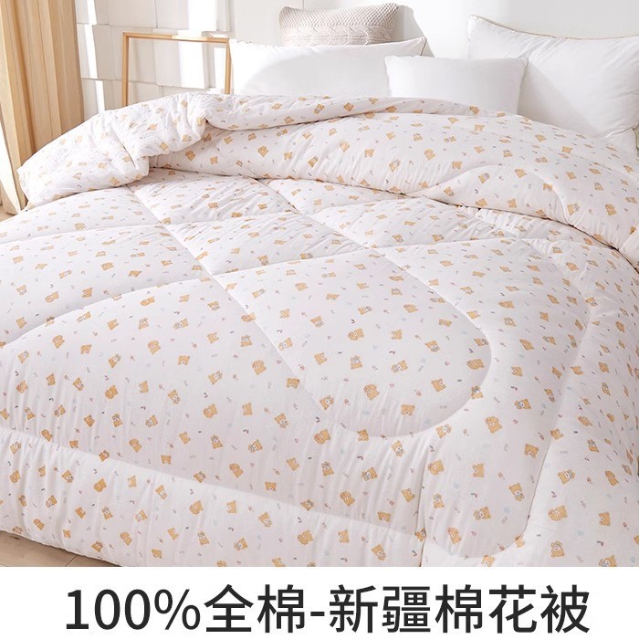 Xuzhou Cloud Brocade edredón núcleo 100% algodón primavera y otoño edredón Xinjiang algodón edredón gauze Xinjiang algodón Xinjiang cabello recto