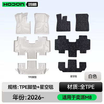 Modelə uyğun ayaqaltı — floor mats TPE2026 model car - 212t01-yipai-m8-double-layer-foot-mat-white-tpe-black-starry-sky-carpet-starry-sky-coverage