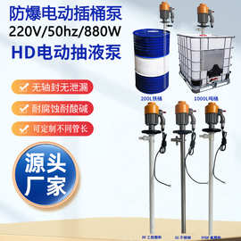 HD-EX2-V+PPHT-700HP防爆电动抽液泵化工插桶泵手提式油桶泵