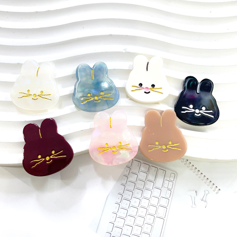 Cartoon acrylic cute sophisticated rabbit