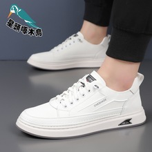 跨境一件代发星头啄木鸟真皮男鞋2025春秋男士休闲板鞋防水防鞋子