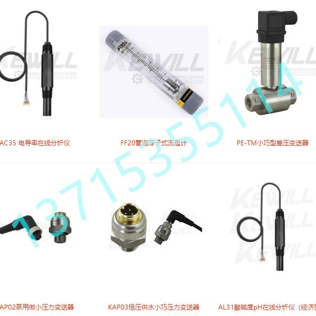 FF20管道浮子式流量计PE-TM差压变送器KAP02/03压力变送器KEWILL