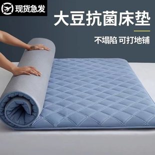 Mattress Cushion Home Dormitory Dormitory Students Single Rent Floor Shop Soybean Tatami Mat Quilt Mattress for Hair