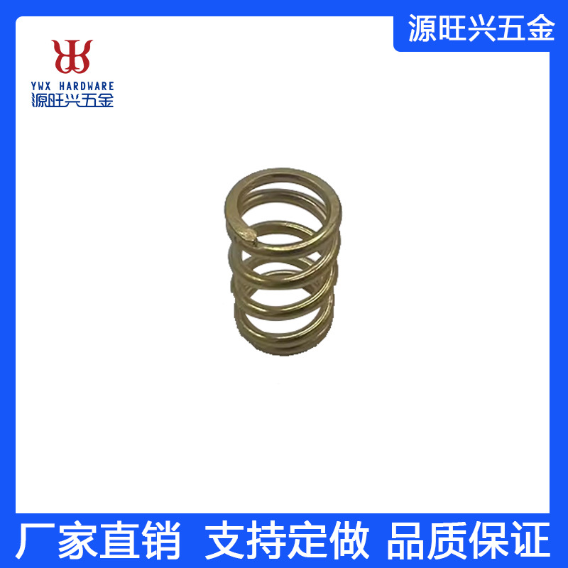 厂家直供不锈钢压缩弹簧 不锈钢塔簧 压簧弹簧批发跨境外贸