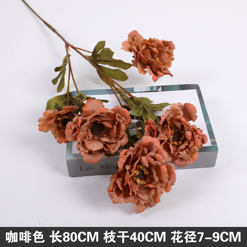 로터스 크레인 모란