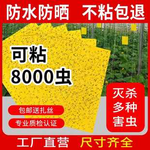 J8 Real Fly Tree Needle Bee Sticky Insect Yellow Board Sticky Insect Board Melon Fruit Citrus Rebound Board Insect Trap Board Double-Sided Sticky Thrips G3