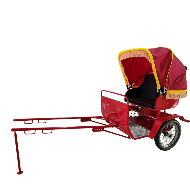 Pony carriage white two-wheel sightseeing pony Debao Shetland children's amusement equipment scenic parent-child riding