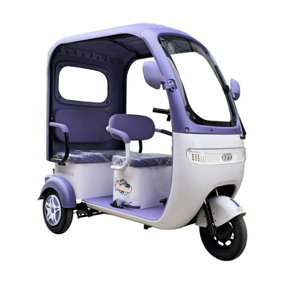 Electric Tricycle — Aibu Auto Parts and Accessories
