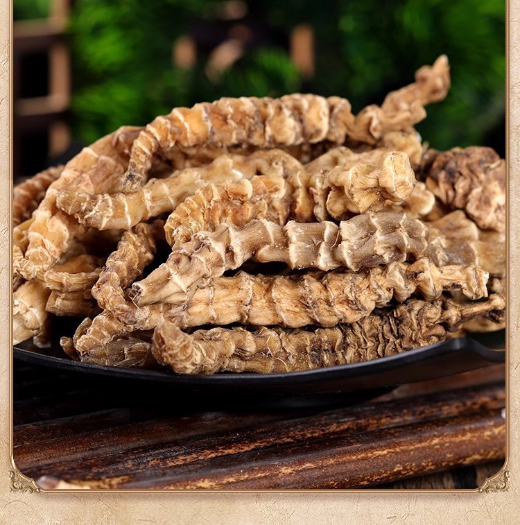 Ding Tian Zhu Dried Herbal Tea 100g Jar Sun Dried Chinese Botanical for Daily Infusion details