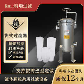 袋式过滤器不锈钢材质化工炼化过滤设备汽油柴油润滑剂过滤器
