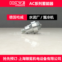 ����HAWE������AC 40-1/4-250΢�̓�����