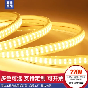 LED light strip, ceiling travel linear light, lights, lamp, 220v