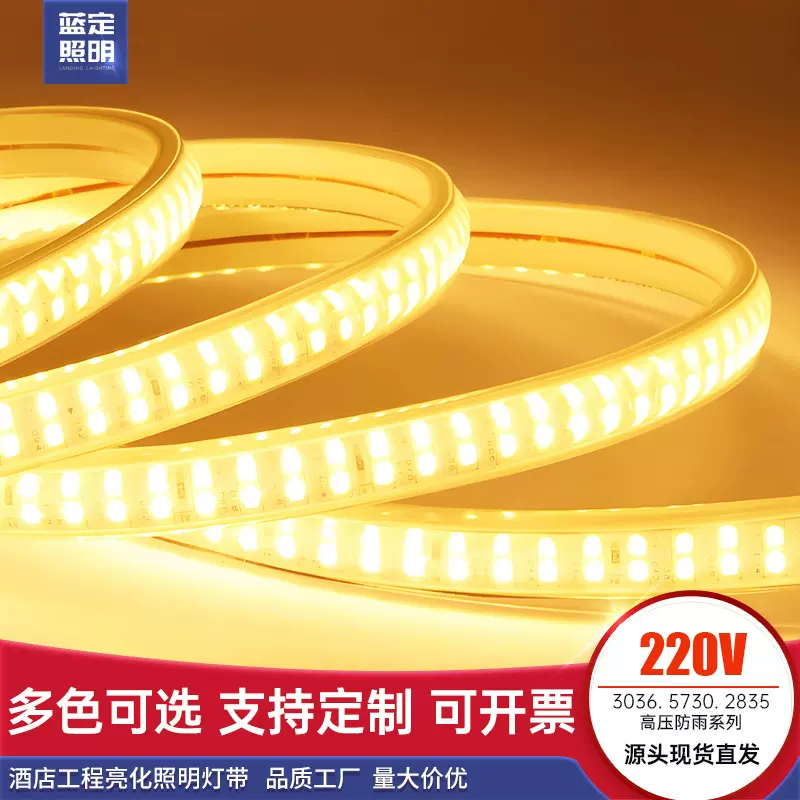 220V灯带led吊顶藏光线条灯户外防雨亮化照明高亮柔性软灯条2835