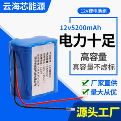 12V電池パックリチウム電池セット2本付きリチウム電池セット足容量高速道路警告灯リチウム電池