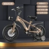Champagne gold-98%installation-dual-disc shock absorption-auxiliary wheel+14 inches