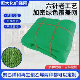 城市绿化覆盖网  建筑工地坡道防尘盖土网六针老工艺绿色覆盖网