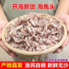 海兔头小乌贼头子乌头乌贼干海兔头干墨斗鱼干小包装批发代发商用