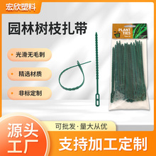 �S�����l�@�֘�֦���� �~�ǾGɫ�������Gɫ�@ˇ�~�����iʽ����